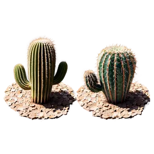 Cactus With Arid Climate PNG Snc63 PNG