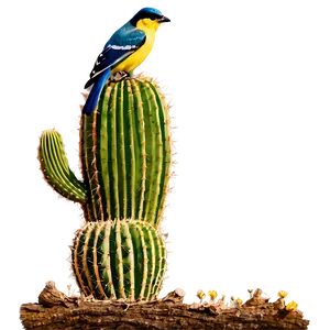Cactus With Bird Perched PNG 42 PNG