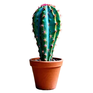 Cactus With Colorful Spines PNG Byx PNG