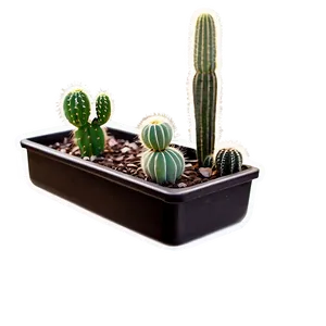 Cactus With Pot Png Ddb21 PNG image