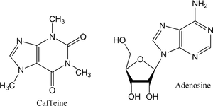 Caffeine_and_ Adenosine_ Chemical_ Structures PNG image