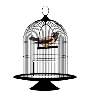 Caged Bird Illustration PNG image
