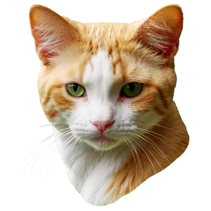 Calico Cat Face Png Skn66 PNG image