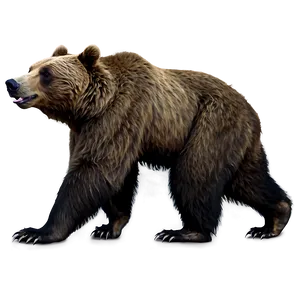 California Bear C PNG image