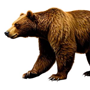 California Bear Illustration Png 88 PNG image