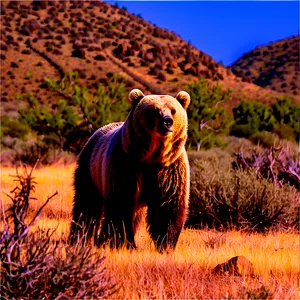 California Bear In The Desert PNG 06262024