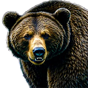 California Bear Street Art PNG 06262024