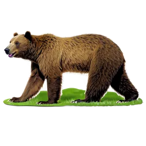 California Coastal Bear PNG Phi