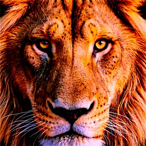 Calm Lion Face PNG Myh PNG