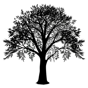 Calm Tree Silhouette Png Jrl PNG image