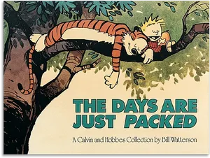 Calvinand Hobbes The Days Are Just Packed PNG image