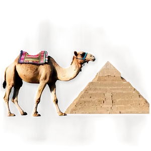 Camel And Pyramid PNG 05212024