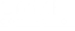 Camel Connections Logo