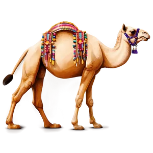 Camel Drawing Png Wmf52 PNG image