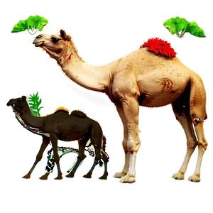 Camel In Desert PNG 29