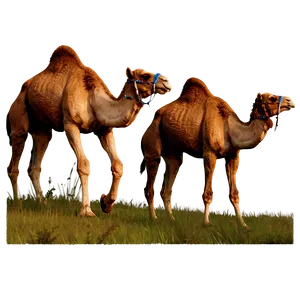 Camel In Field PNG Gfj12 PNG