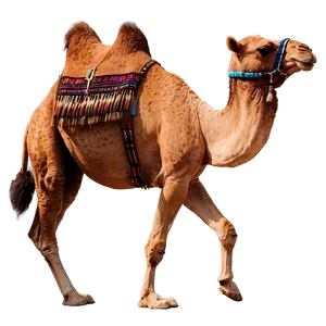 Camel In Motion PNG Ewq87 PNG