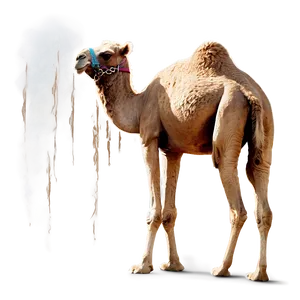 Camel In Sandstorm PNG Svg81