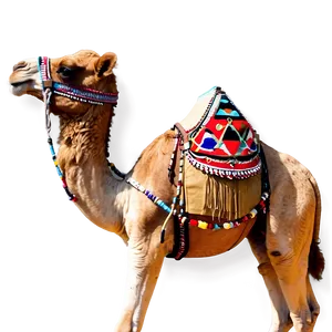 Camel In Traditional Harness Png 51 PNG image