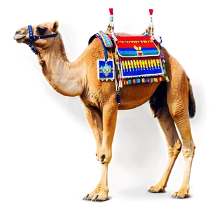 Camel In Traditional Harness PNG Wmw PNG