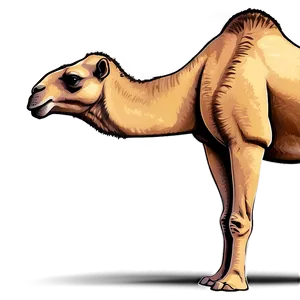 Camel Outline PNG 1