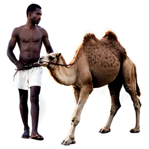 Camel Ride PNG 97