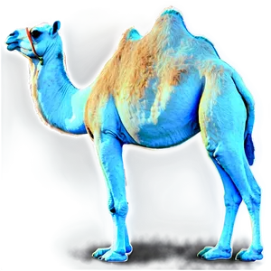 Camel Side View PNG Dkh