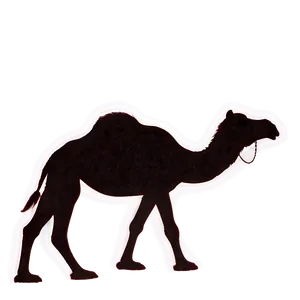 Camel Silhouette At Night PNG Rad PNG