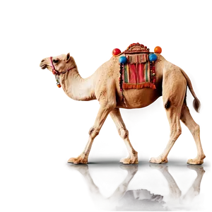 Camel Walking Png Wcq PNG image