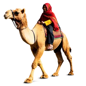 Camel With Rider PNG 68