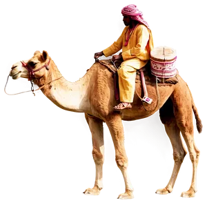 Camel With Traditional Rider PNG 29