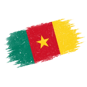 Cameroon Flag Brush Stroke PNG image