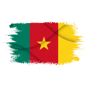 Cameroon Flag Brush Stroke PNG image