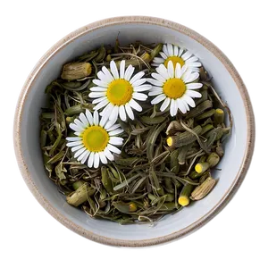 Camomile Tea Relaxation PNG 70