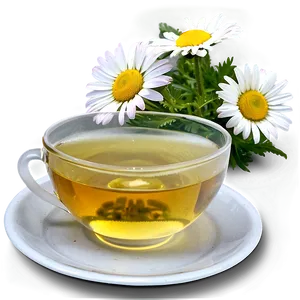 Camomile Tea Relaxation PNG Idq