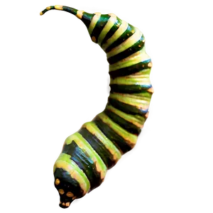 Camouflaged Caterpillar PNG Hao26