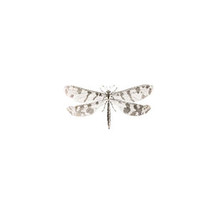 Camouflaged Dragonflyon Black Background