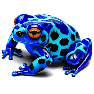 Camouflaged Poison Dart Frog PNG Pxd59 PNG