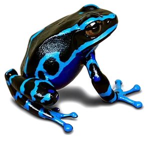 Camouflaged Poison Dart Frog PNG Tte93 PNG