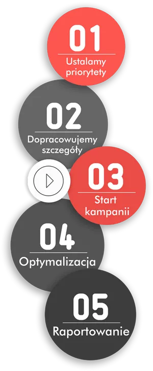Campaign Steps Infographic Polish PNG image