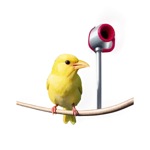 Canary Bird Singing PNG Xbx