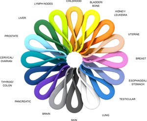 Cancer Awareness Ribbon Colors PNG image