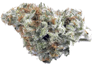 Cannabis Bud Closeup PNG image