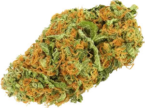 Cannabis Bud Closeup.png PNG image