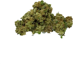 Cannabis Buds Black Background PNG image