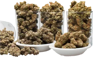 Cannabis Buds Display PNG image