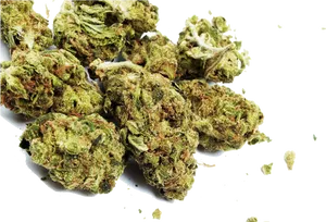 Cannabis Buds Isolated Background PNG image