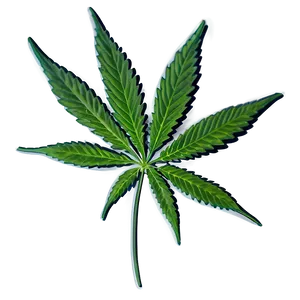 Cannabis Indica Leaf Png 98 PNG image
