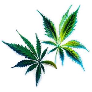 Cannabis Indica Leaf Png Pxm PNG image