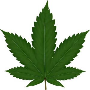 Cannabis Leaf Graphic PNG image